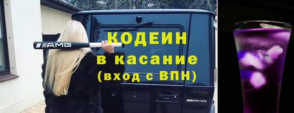 не бодяженный Заводоуковск
