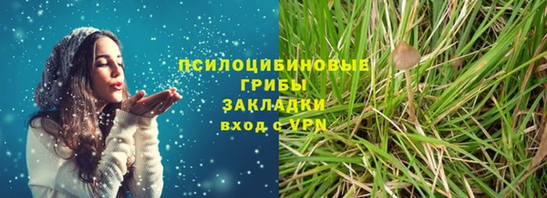 не бодяженный Заводоуковск