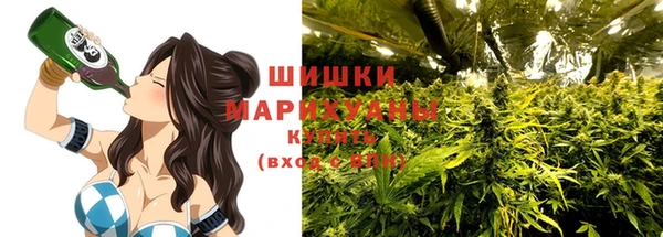 не бодяженный Заводоуковск