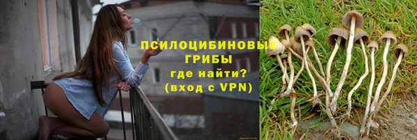 ECSTASY Зеленокумск
