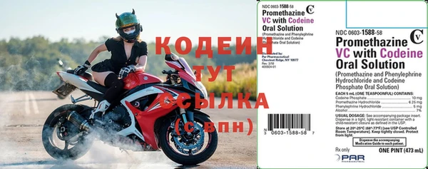 не бодяженный Заводоуковск