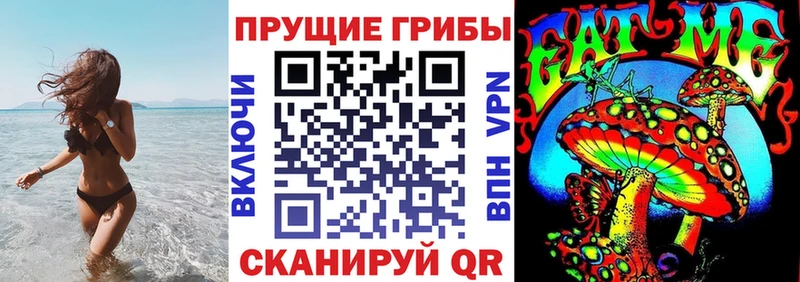 Купить где  Шумерля  Псилоцибиновые грибы GOLDEN TEACHER 